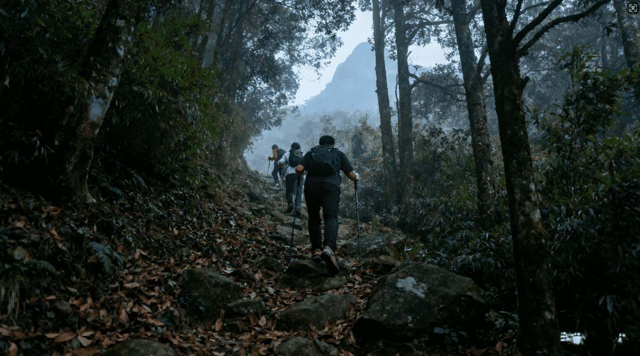 坚果加速器的定义与使用场景介绍